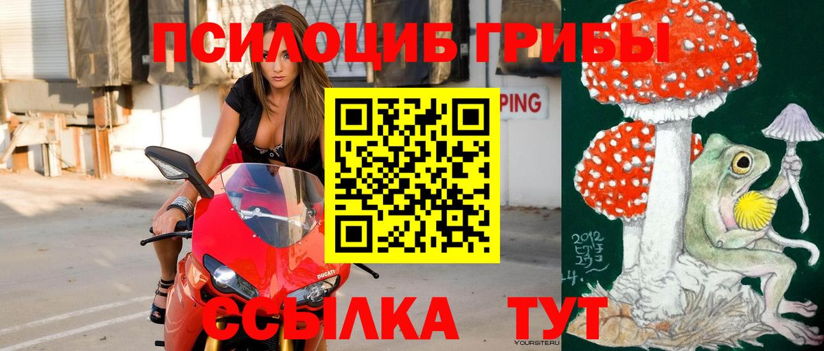 наркошоп  Псилоцибиновые грибы Psilocybe  Советск  Вход с VPN  Галлюциногенные грибы мицелий 