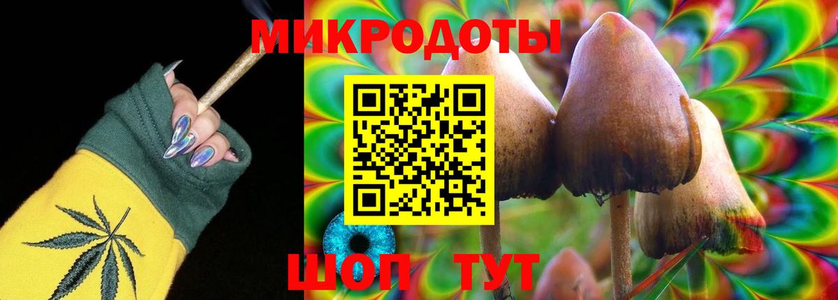 Псилоцибиновые грибы мицелий Советск